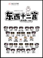 四重分裂