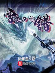 雪夜刀剑错