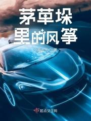 茅草垛里的风筝
